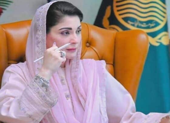 عید الاضحٰی پر وزیراعلیٰ پنجاب کا عوامی ٹرانسپورٹ میں اوورچارجنگ، اوورلوڈنگ کیخلاف سخت کارروائی کا حکم