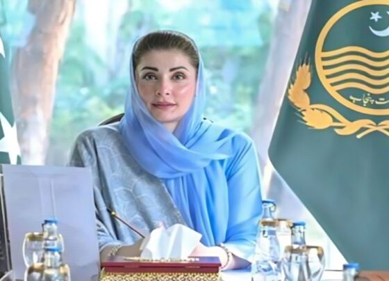 کا معرکہ حق دشمن کبھی فراموش نہیں کر پائے گا، وزیراعلیٰ پنجاب8/0