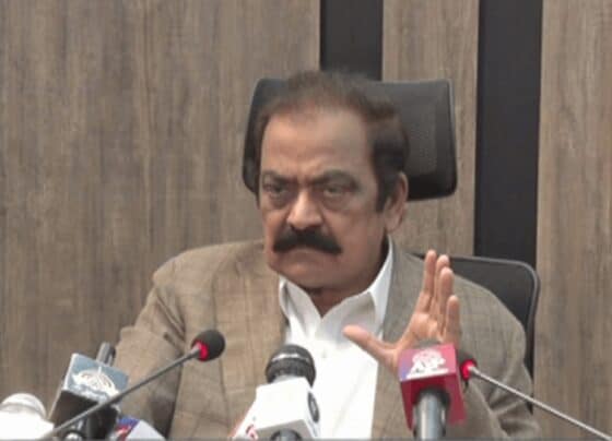 عمران خان سے کوئی ڈیل نہیں ہو رہی، عدالتیں ہی فیصلے سنائیں گی ، رانا ثنا اللہ