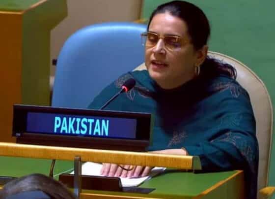 بھارت دہشتگری برآمد کرتا ہے، کالعدم ٹی ٹی پی، بی ایل اے اور مجید بریگیڈ بھارت کے پراکسی گروہ ہیں : صائمہ سلیم
