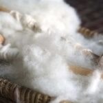 اون سے ہڈیوں کی مرمت ممکن،  نئی تحقیق سامنے آگئی