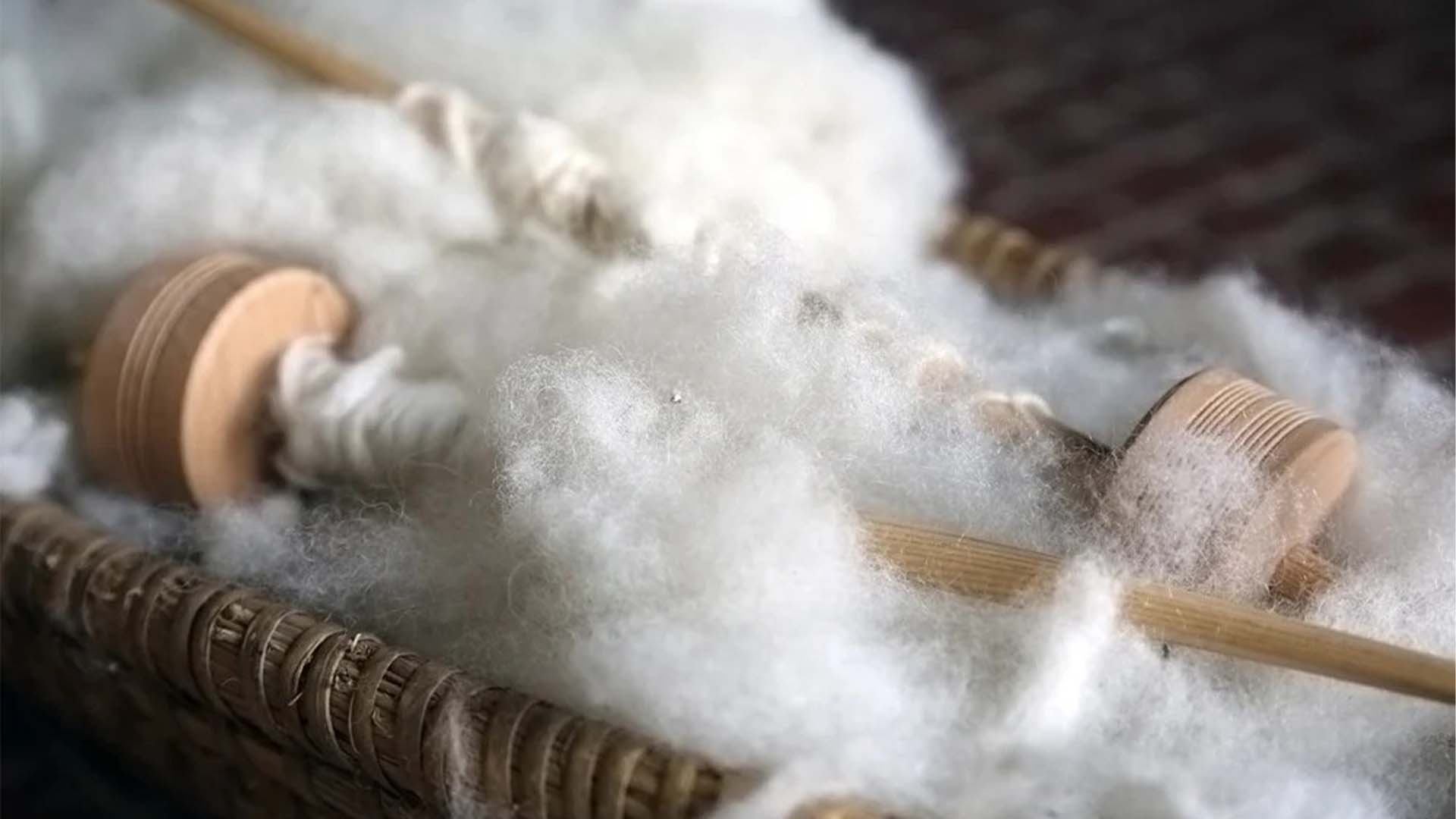 اون سے ہڈیوں کی مرمت ممکن،  نئی تحقیق سامنے آگئی