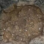لاؤس میں خوفناک دریافت، قدیم مرتبان سے 37 انسانوں کی ہڈیاں برآمد