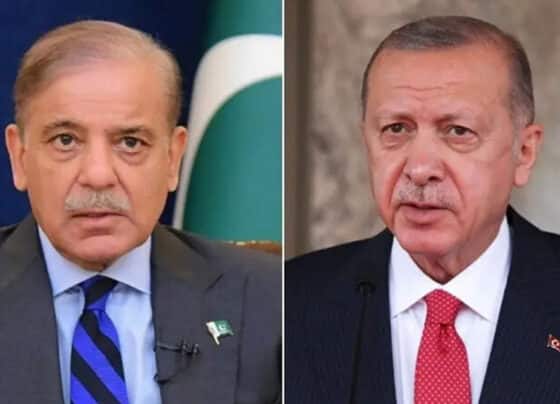 شہباز شریف ، ترک صدر