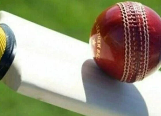 کرکٹ میچ