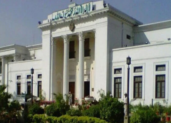 کے پی کے اسمبلی