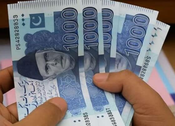 گریجوایٹس کیلئے خوشخبری