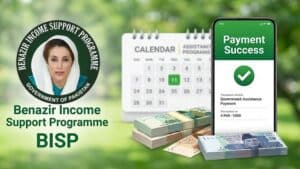 BISP بی آئی ایس پی