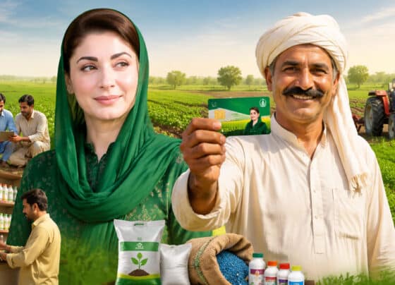 گندم کی پیداوار، مریم نواز کے ایک فیصلے نے تاریخ رقم کردی