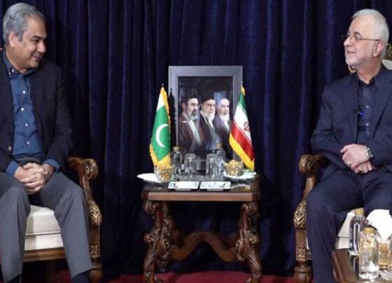پاک ایران وزرائے داخلہ ملاقات