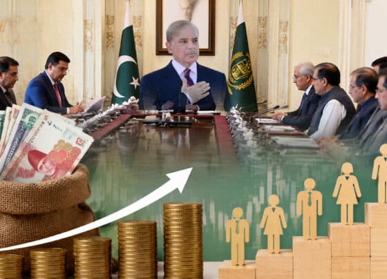 تنخواہیں اور پنشن کتنی بڑھائی جائے؟ وزیراعظم نے وزیر خزانہ کو ہدایت دیدی