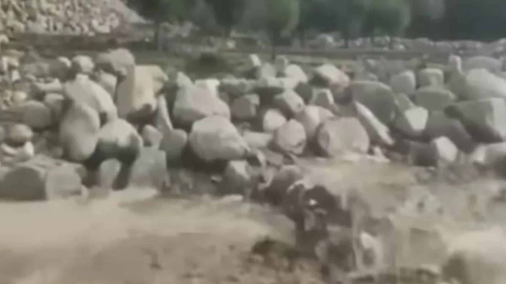 چلاس میں کلاؤڈ برسٹ سے تباہ کن سیلاب، مکانات، فصلیں، پل اور گاڑیاں بہہ گئیں، وادی تھور کا زمینی رابطہ منقطع