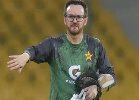 شاداب خان نے بہترین اننگ کھیلی، وہ باؤلر سے اچھے آل راؤنڈر بن گئے ہیں، مائیک ہیسن