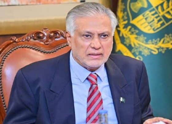 پیٹرولیم مصنوعات کی قیمتوں میں 59 روپے تک کمی ہوگی ، اسحاق ڈار نے بتادیا