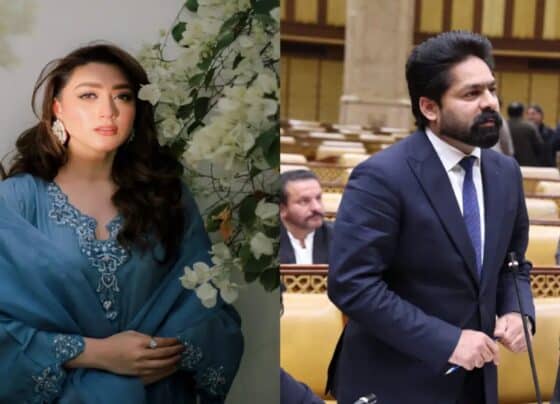 لیگی رہنما کو اداکارہ سے الجھنا مہنگا پڑگیا، نئی مشکل میں پھنس گئے