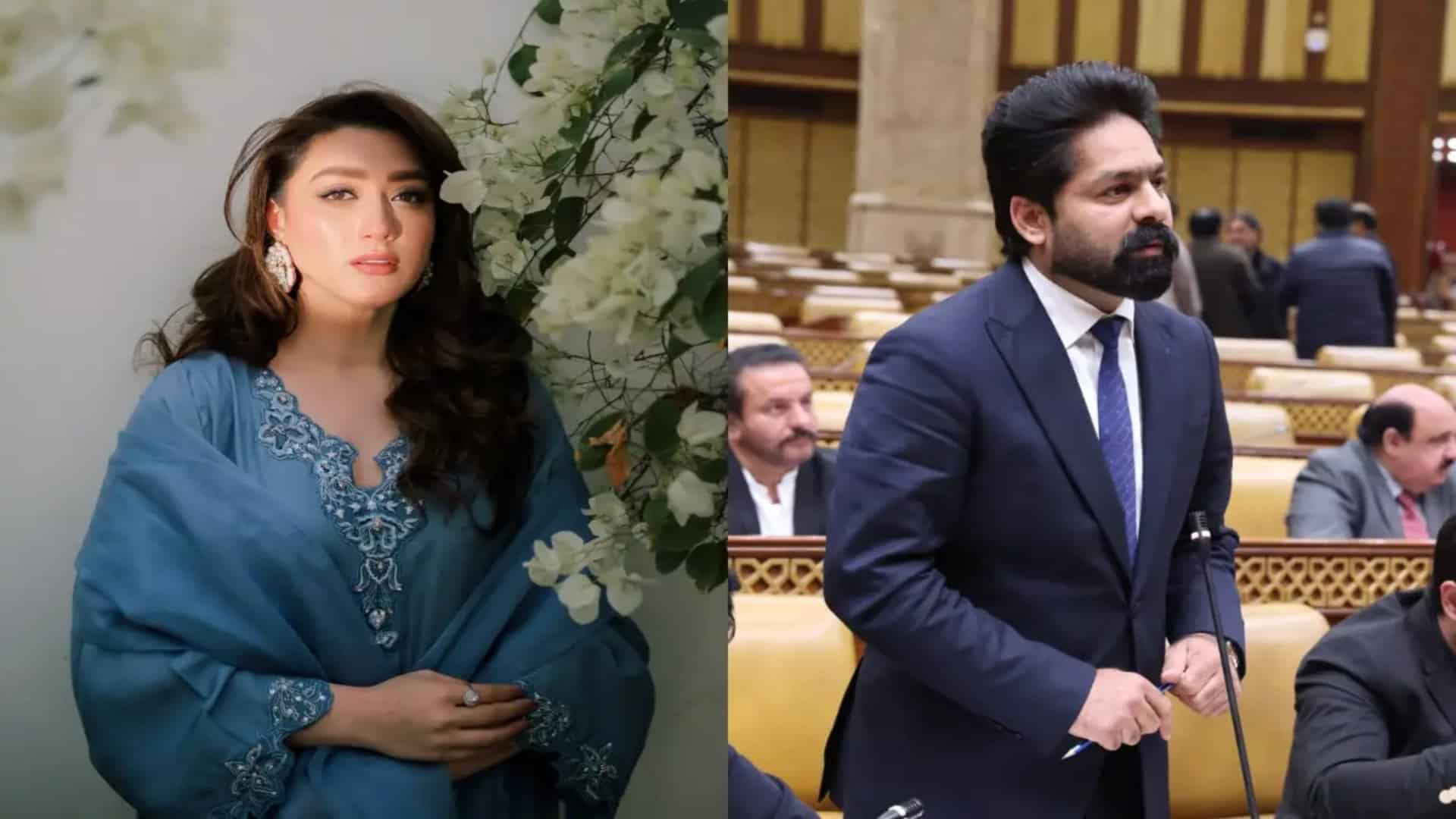 لیگی رہنما کو اداکارہ سے الجھنا مہنگا پڑگیا، اثاثوں کی تفصیلات بارے درخواست دائر