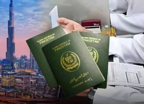 بیرون ملک روزگار