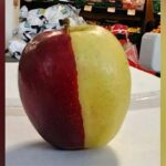 دو رنگوں والا  منفرد سیب سیلیبریٹی بن گیا