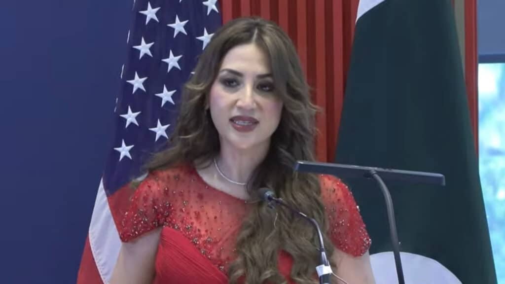 پاکستان اور امریکہ کے درمیان مضبوط شراکت داری موجود ہے، نیٹلی بیکر