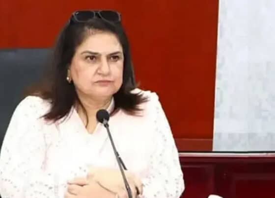 چیئرمین بی آئی ایس پی