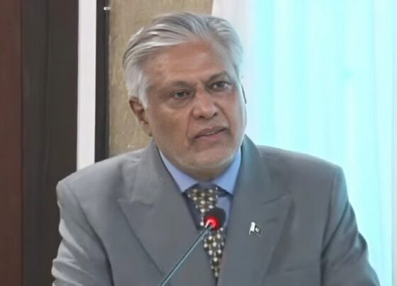 پاکستان اور امریکا کی سٹریٹجک شراکت داری مزید مضبوط ہو رہی ہے، نائب وزیراعظم اسحاق ڈار