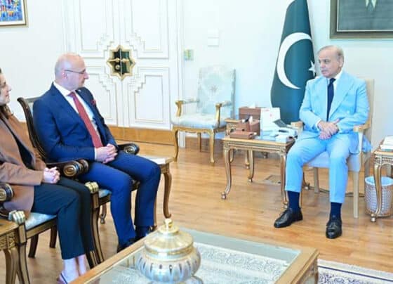 کروشیا کے وزیر خارجہ کا دورہ پاکستان، شہباز شریف اور اسحاق ڈار سے اہم ملاقاتیں