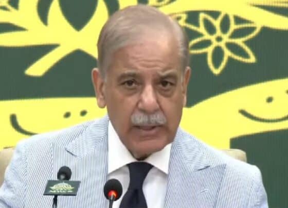 پاکستان میں دہشتگردی کے پیچھے بھارت کا ہاتھ، افغانستان دہشتگردوں کو روکنے میں ناکام ہے، وزیرِ اعظم