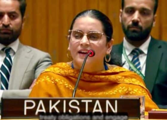 سلامتی کونسل میں پاکستان کا بھارت کو کرارا جواب ، امن کا درس مضحکہ خیز قرار