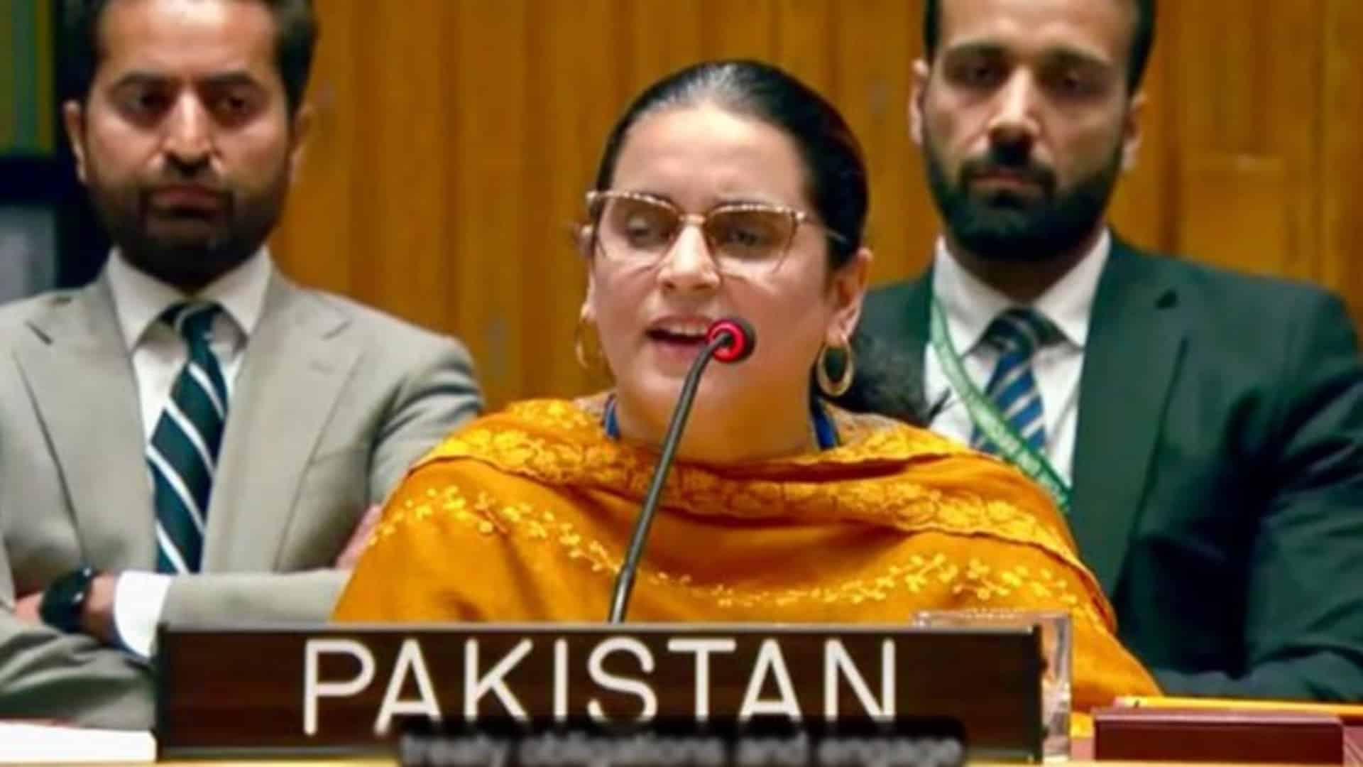 سلامتی کونسل میں پاکستان کا بھارت کو کرارا جواب ، امن کا درس مضحکہ خیز قرار