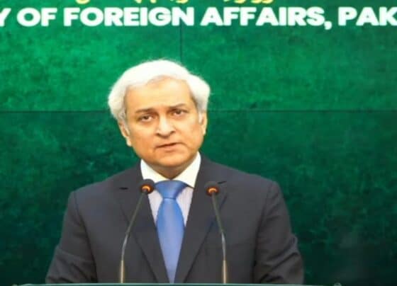 مذاکرات خطے کے مسائل کا واحد حل ، امریکا و ایران کو مفاہمتی یادداشت پر واپس لانے کیلئے سرگرم ہیں ، ترجمان دفترِ خارجہ 
