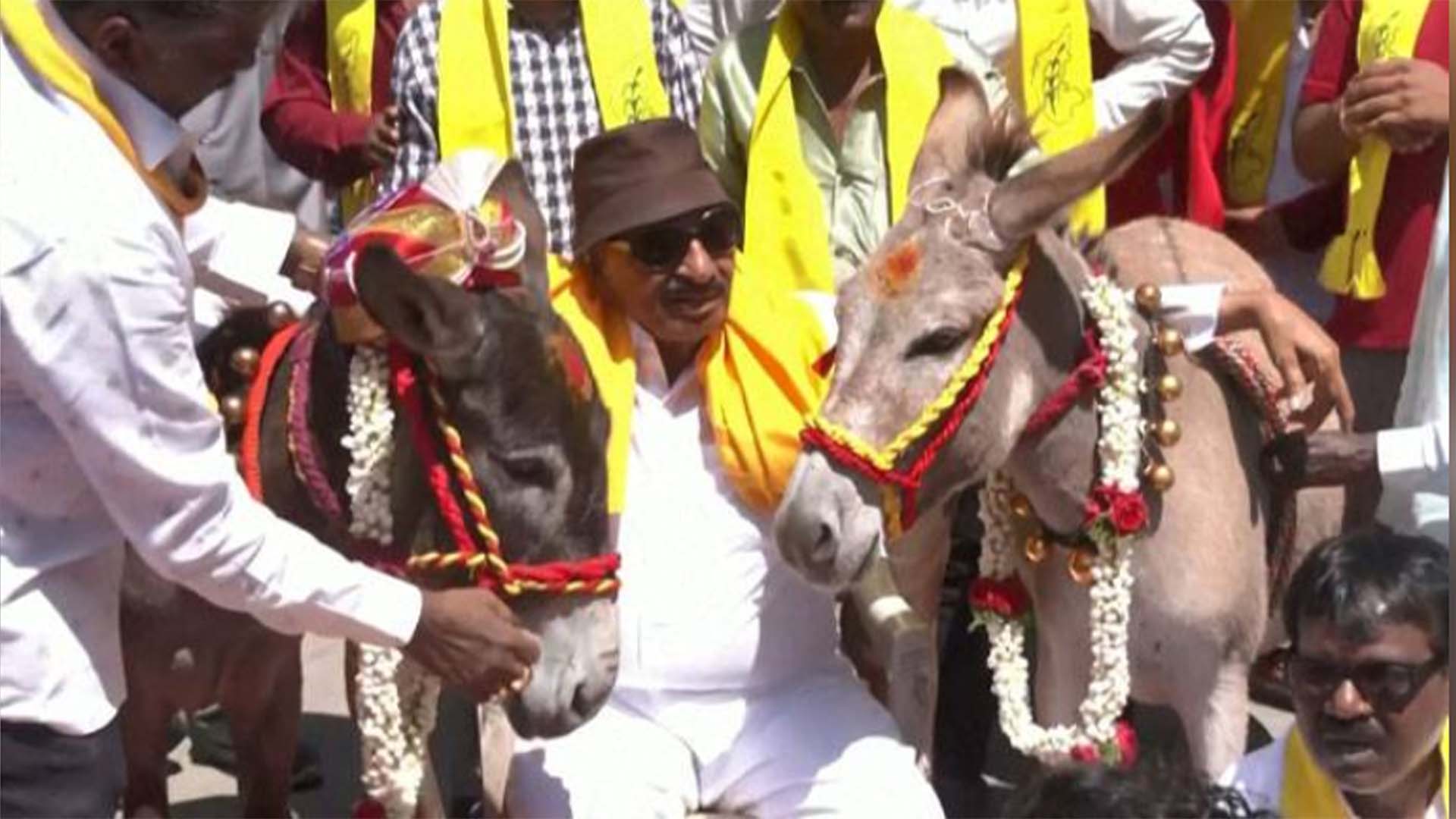 بارش  کے لیے گدھوں کی شادی،  عجیب بھارتی روایت ایک بار پھر سامنے آگئی