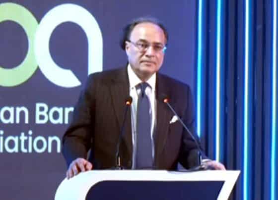 پاکستان کی معیشت درست سمت میں گامزن، نظام کو سہل بناکر آسانیاں لانا چاہتے ہیں : وزیرخزانہ