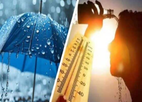 شدید گرمی یا بادلوں کا راج ؟ محکمہ موسمیات نے بتادیا