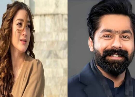 اداکارہ مومنہ اقبال ہراسانی کیس : ثاقب چدھڑ اور اہلیہ کی عبوری ضمانتوں میں توسیع