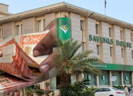قومی بچت اسکیموں پر اب ایک لاکھ روپے پر ماہانہ کتنا منافع ملے گا؟