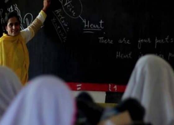 سرکاری اسکولوں میں داخلے کے نظام کومکمل ڈیجیٹلائز کرنے کا فیصلہ