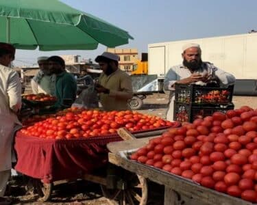 اسلام آباد، کراچی میں ٹماٹر کی قیمت بے قابو ، مہنگائی سے شہری پریشان