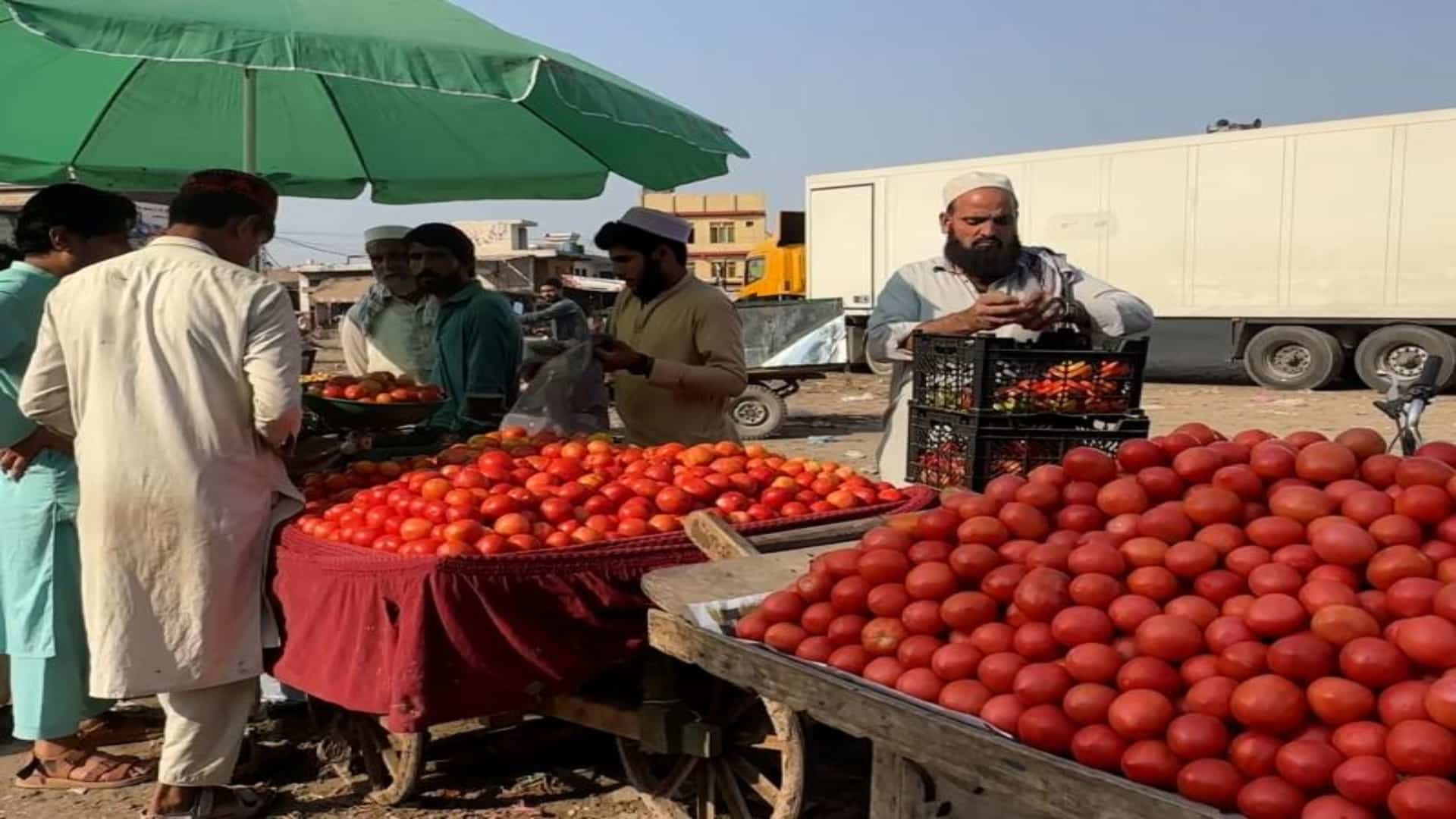 اسلام آباد، لاہور، کراچی میں ٹماٹر کی قیمتیں آسمان پر ، شہری پریشان