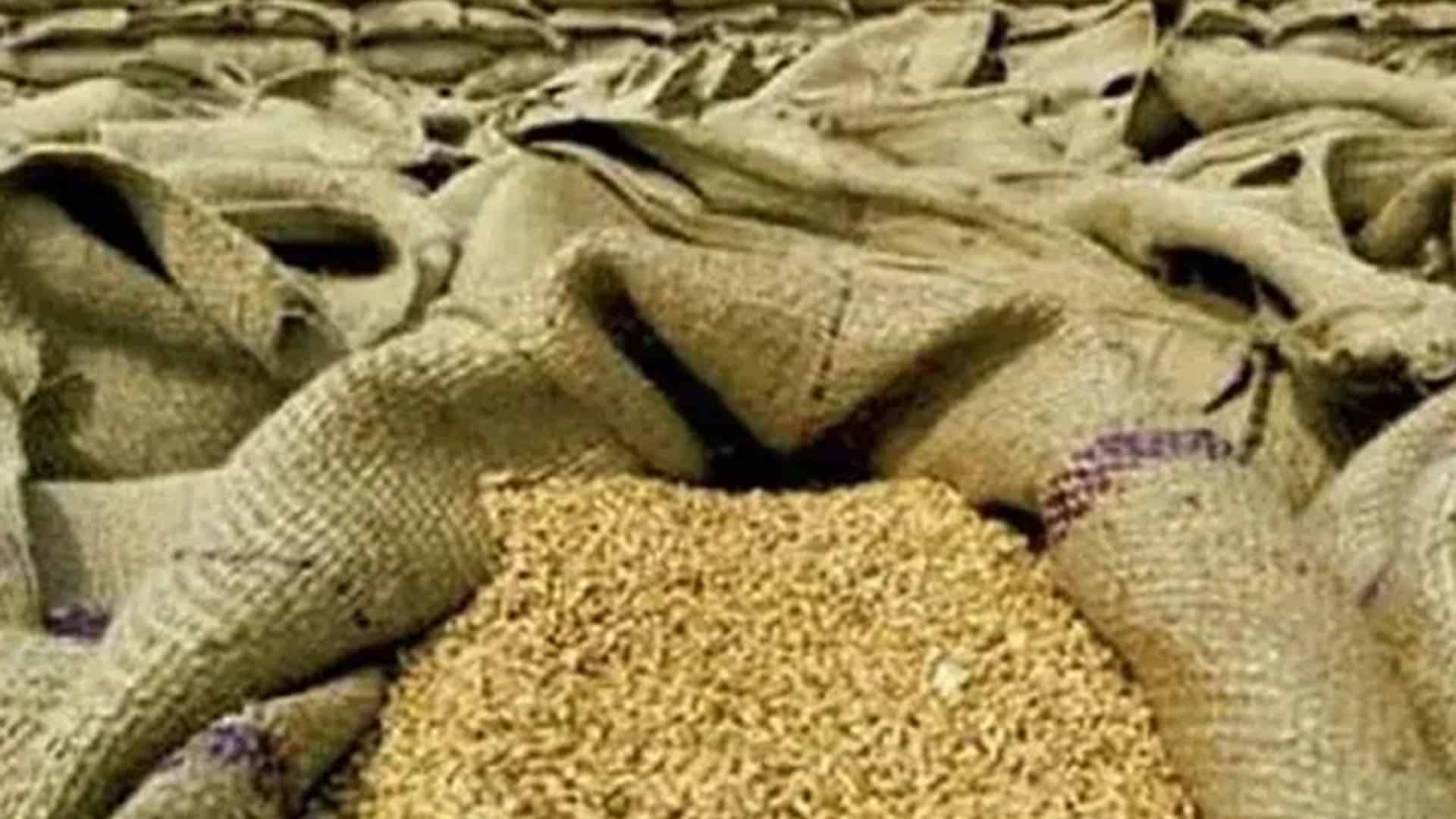 آٹا مزید مہنگا ہونے کا خدشہ، پنجاب اور سندھ نے لاکھوں ٹن گندم مانگ لی