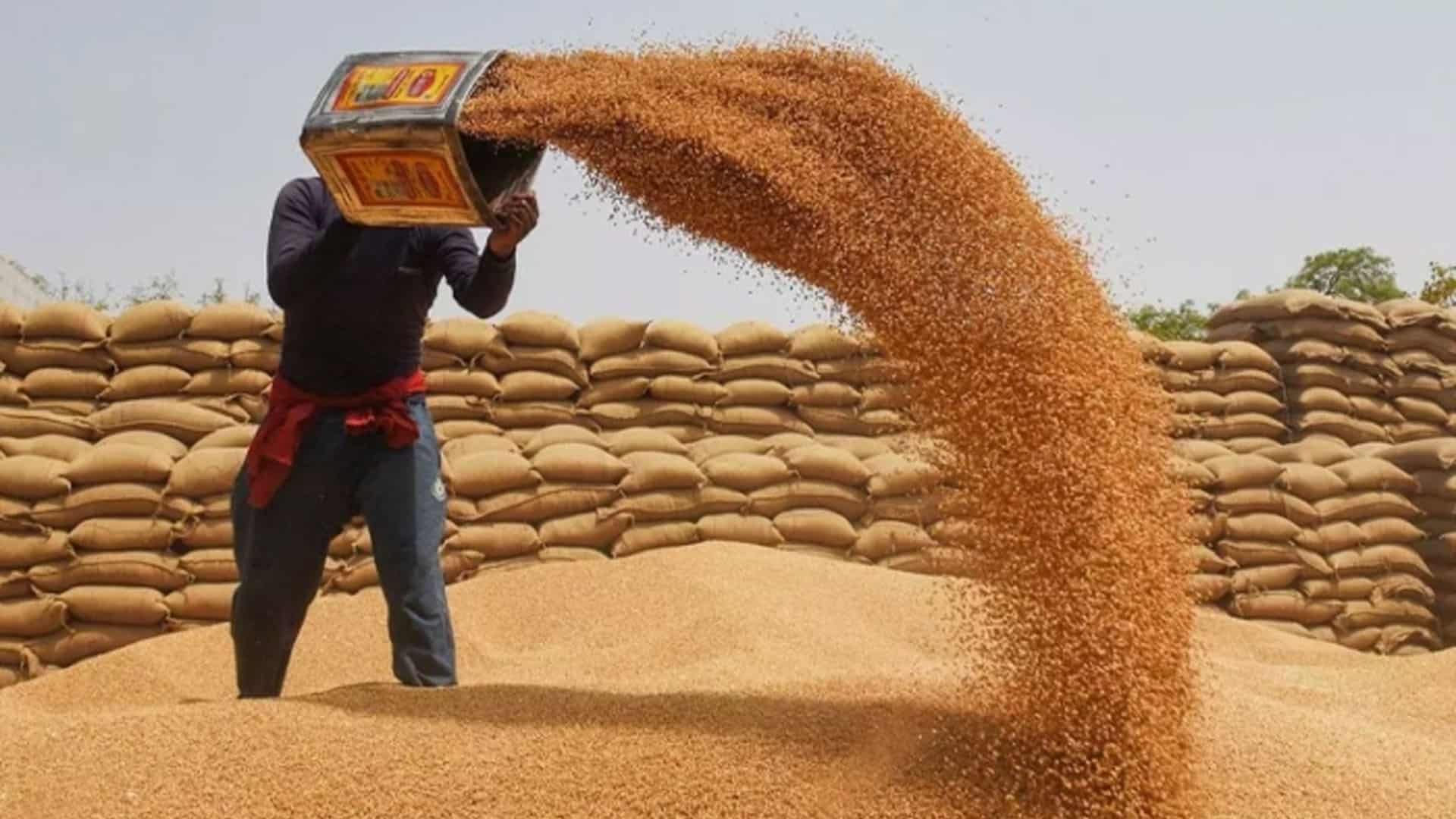 وفاقی حکومت کا 10 لاکھ ٹن گندم فوری درآمد کرنے کا فیصلہ