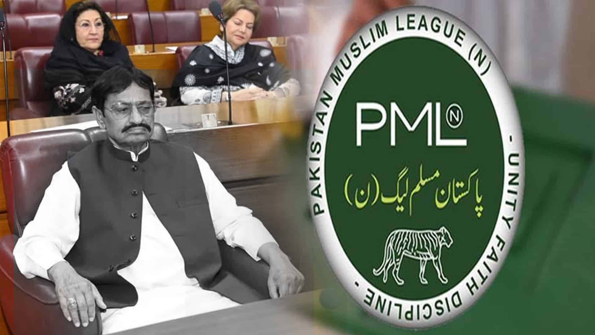 مسلم لیگ ن کے سینیئر ترین رہنما اور ایم این اے انتقال کر گئے