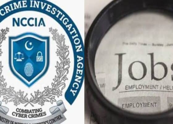 سرکاری نوکری کے خواہشمندوں کیلئے خوشخبری، گریڈ 14 تک آسامیاں آگئیں