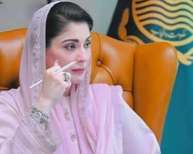 گرین انڈسٹریل اکنامک زون کی منظوری، وزیراعلیٰ پنجاب نے سرمایہ کاروں کو بڑا تحفہ دیدیا