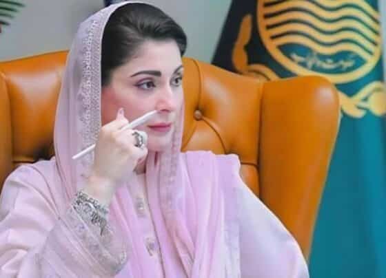 گرین انڈسٹریل اکنامک زون کی منظوری، وزیراعلیٰ پنجاب نے سرمایہ کاروں کو بڑا تحفہ دیدیا