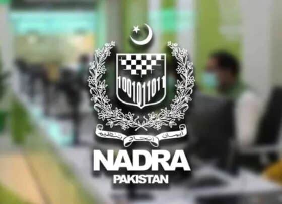شادی کے بعد نادرا میں ازدواجی حیثیت کیسے تبدیل کریں؟ گھر بیٹھے ریکارڈ اپ ڈیٹ کرنے کا آسان طریقہ