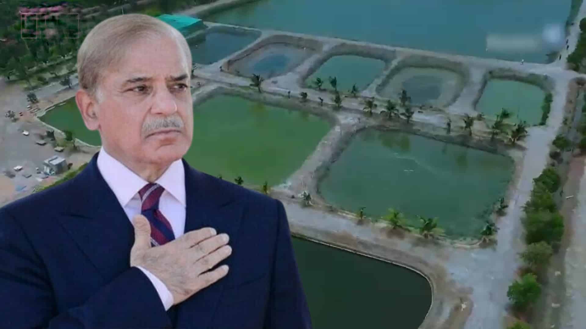 وزیراعظم ٹاسک فورس کے تحت ‘آبی زراعت میں انقلاب اقدام، جدید ایکوا کلچر کا کامیاب تجربہ