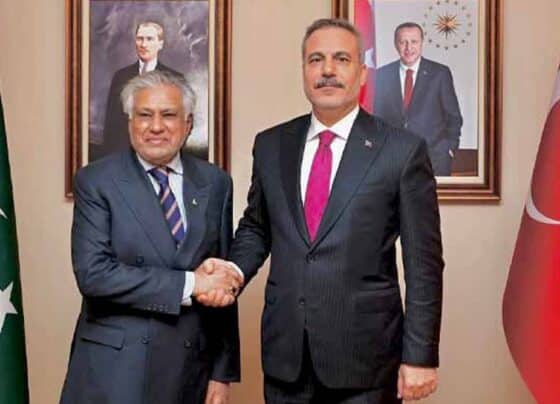 اسحاق ڈار ملاقات