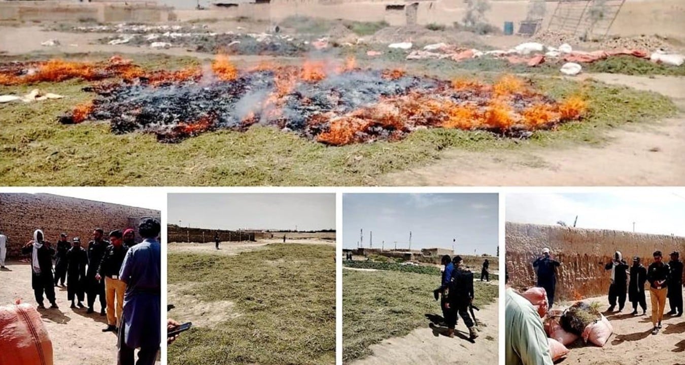 ضلع پشین میں ایف سی کی  انسدادِ منشیات کے تحت ایک بڑی کارروائی، 33 ہزار 600 کلو ایفیڈرا ضبط، فیکٹری مسمار