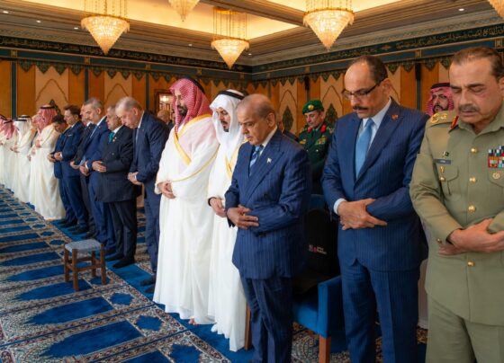 قصر الصفا