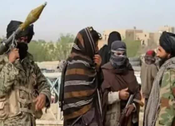 افغان طالبان رجیم کی دہشتگرد تنظیموں کی مسلسل پشت پناہی، عالمی سطح پر تشویش برقرار